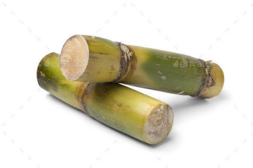 Picture of Sugar Cane