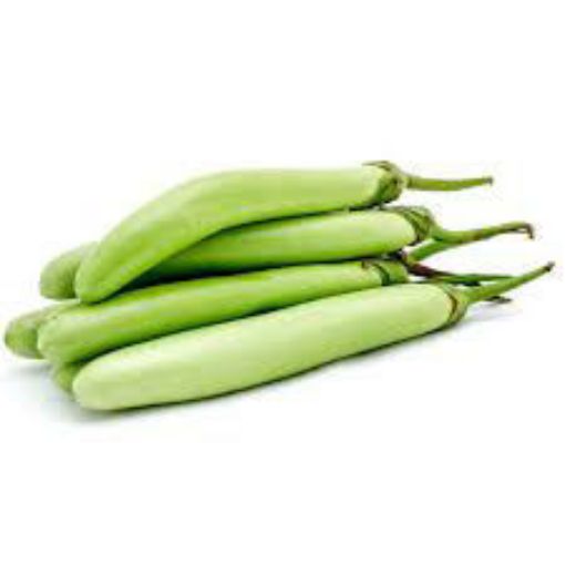 Picture of Green Eggplant Long