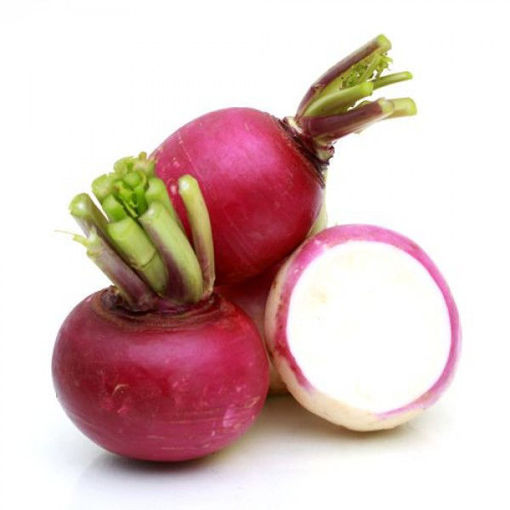 Picture of Turnip Root