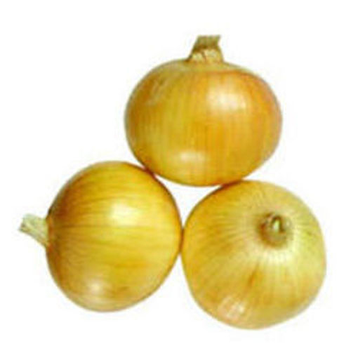 Picture of YELLOW ONIONS