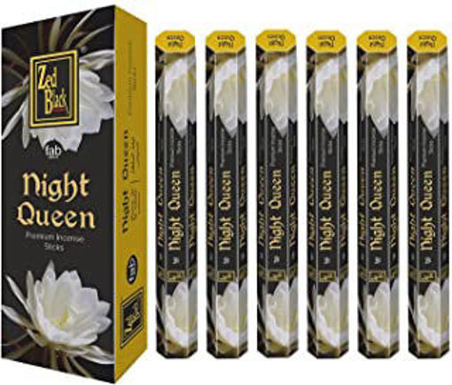 Picture of Zed Black Night Queen 6PACK