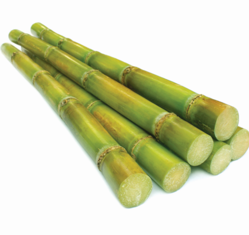Picture of Sugar Cane Full