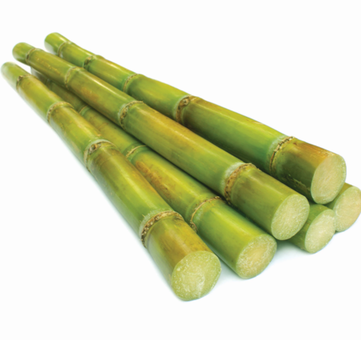 Picture of Sugarcane