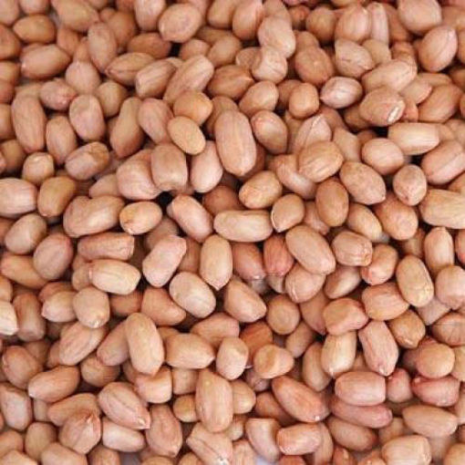 Picture of Raw Peanuts