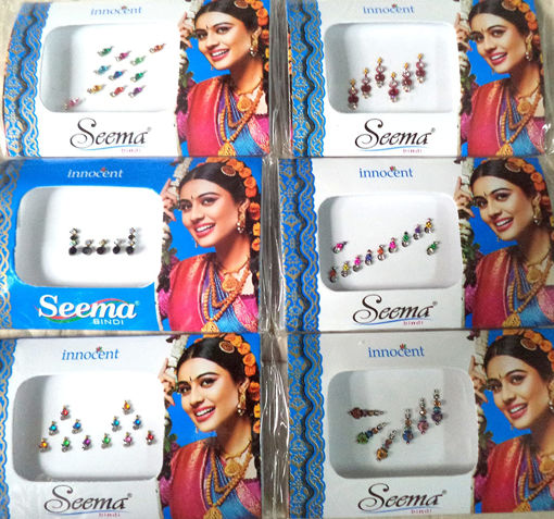Picture of Seema Bindi