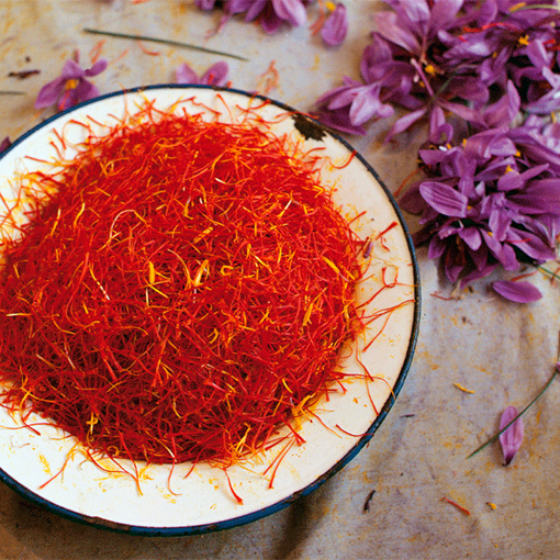 Picture of SPANISH SAFFRON 1GM