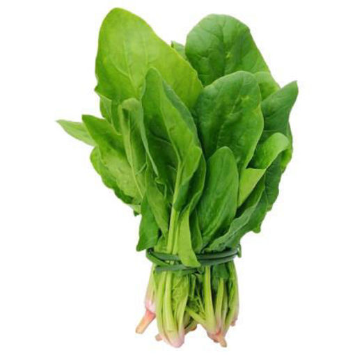Picture of SPINACH Bunch